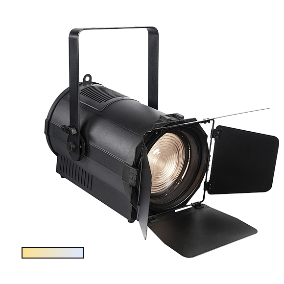 FRESNEL 300Z T